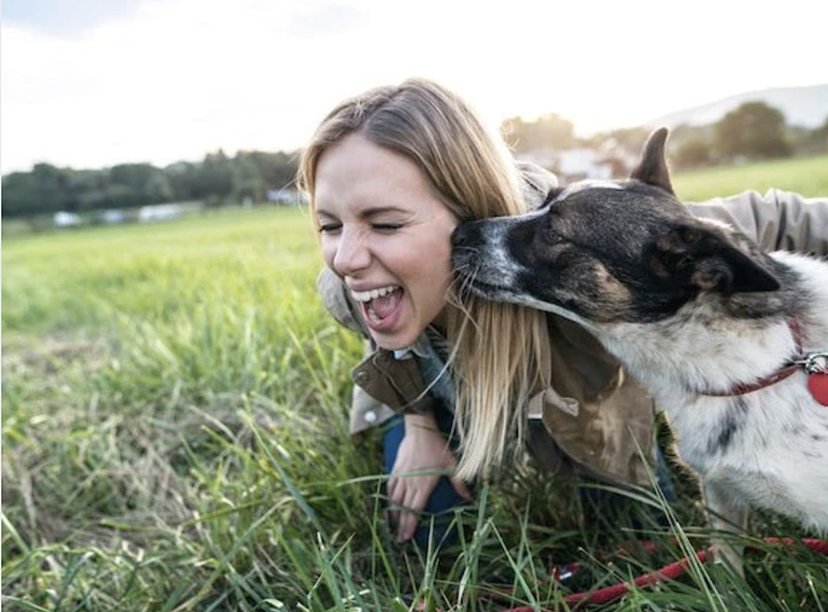 Verwen Jouw Trouwe Vriend met Hypoallergene Hondenbrokken